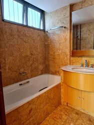 Rafflesia Condominium (D20), Condominium #551242471